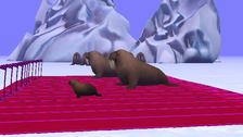 Walrus Race