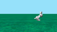 Bunny Hop