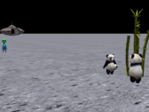 PANDAS ON THE MOON