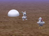 Bunny and Chicken Random Turns