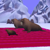 Walrus Race